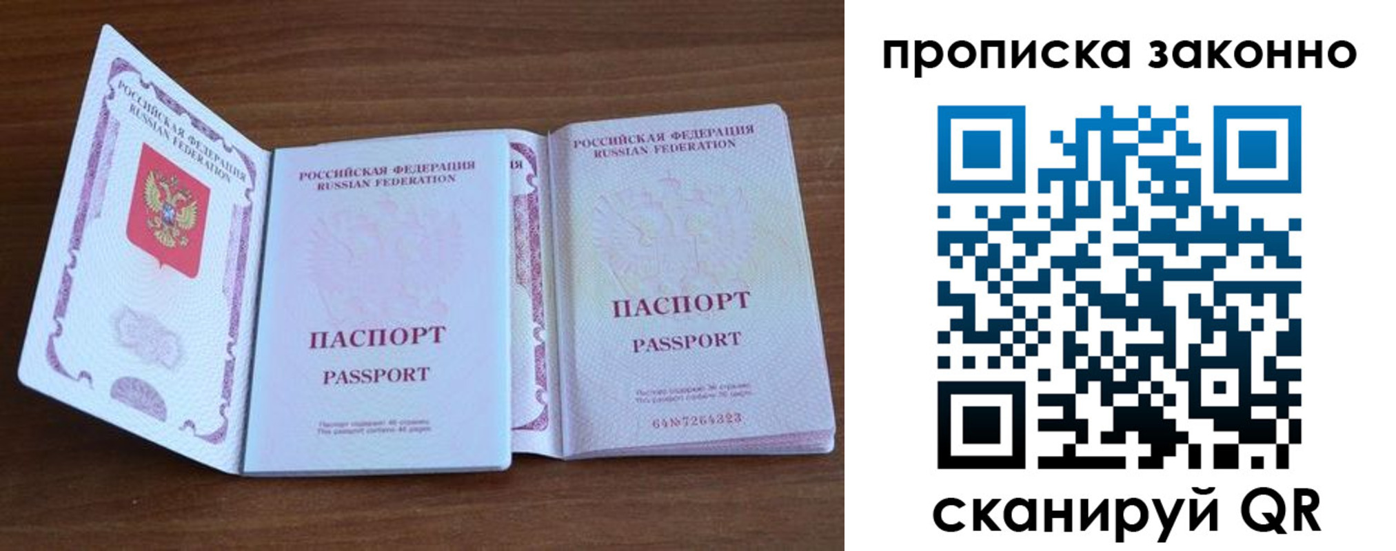 прописка поиск в Емве